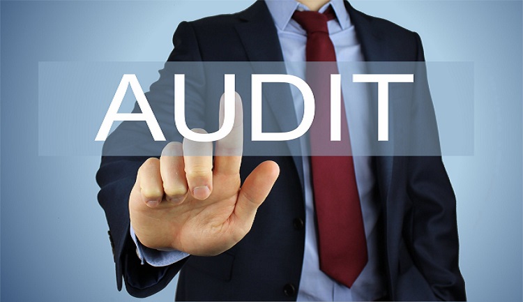 Why Do Companies Audit