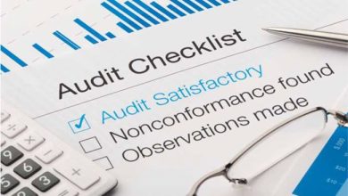 statutory-audit-checklist