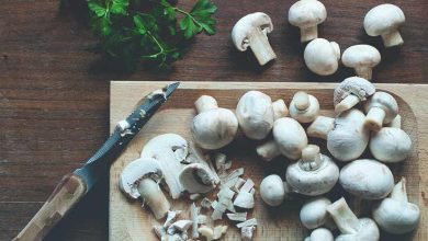 A Healthy Life Includes Mushrooms