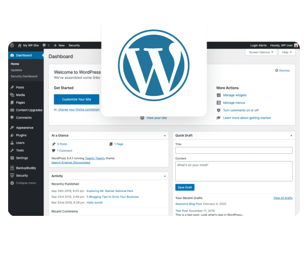 WordPress development