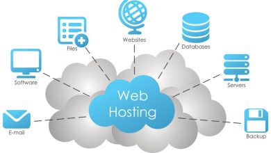 Web Hosting