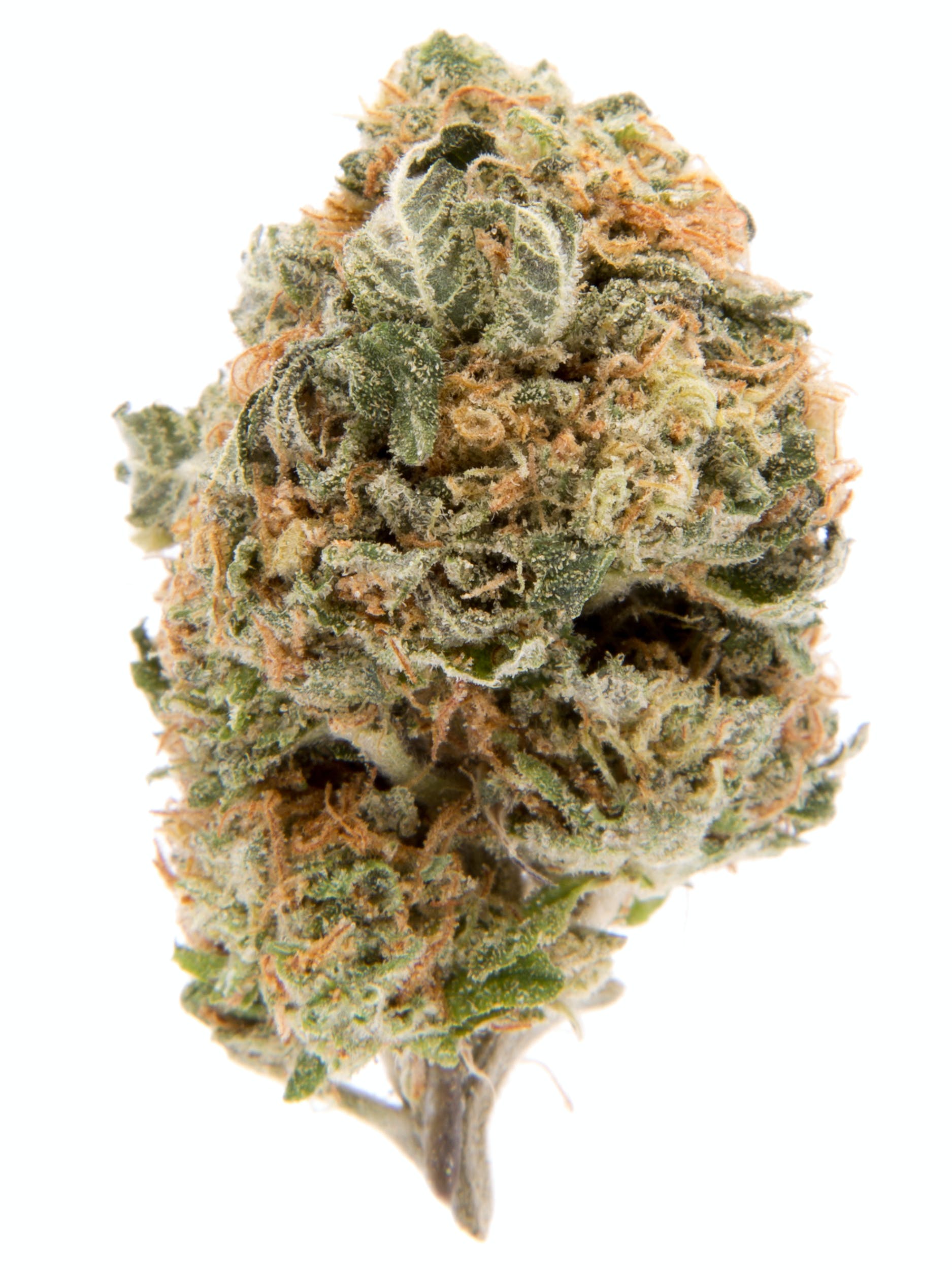 Marijuana Strain Blueberry