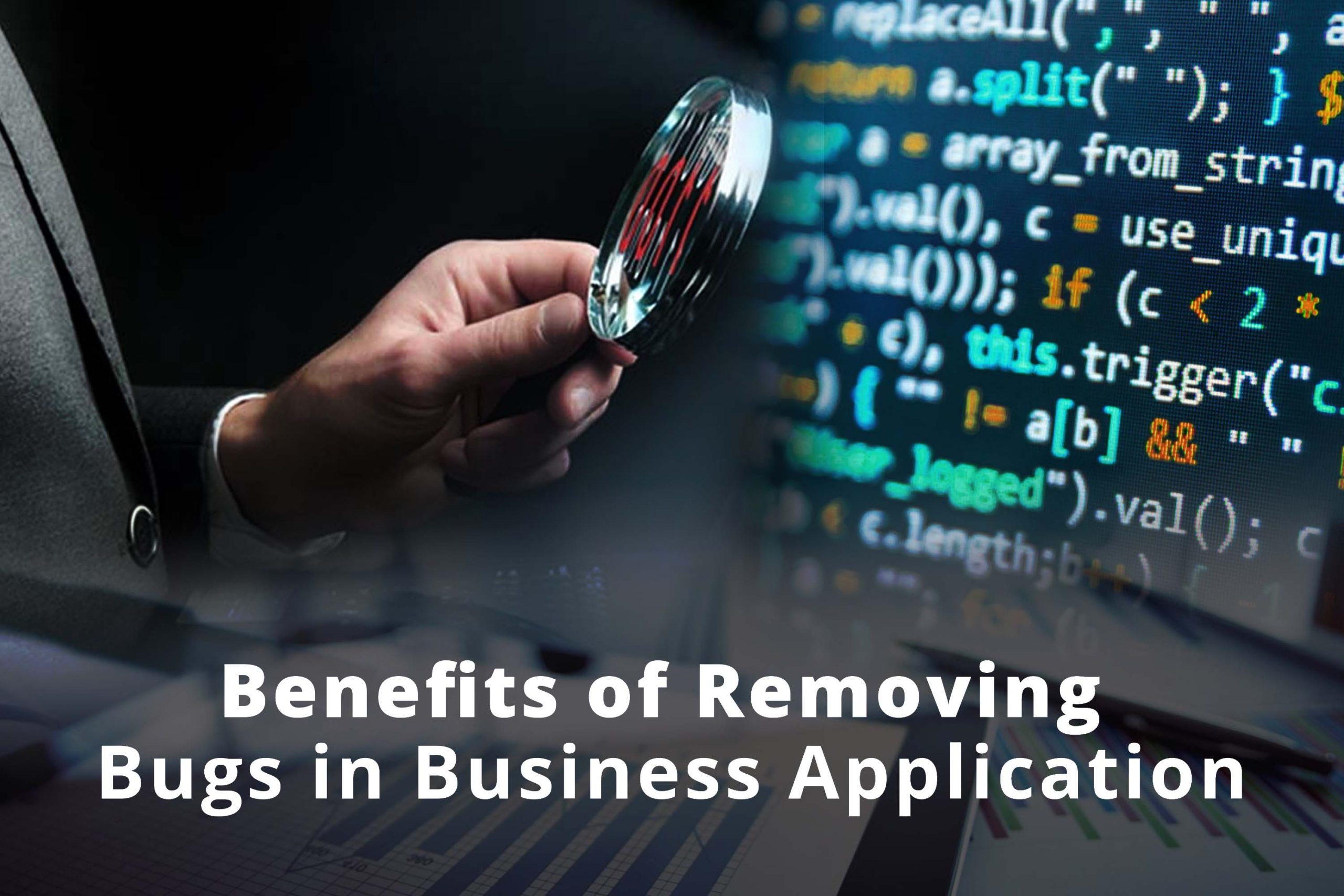 benefits of removing bugs in business application