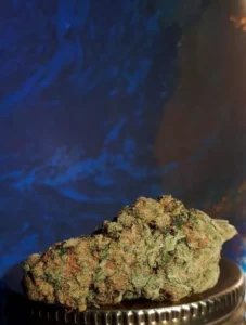 jet fuel weed strain