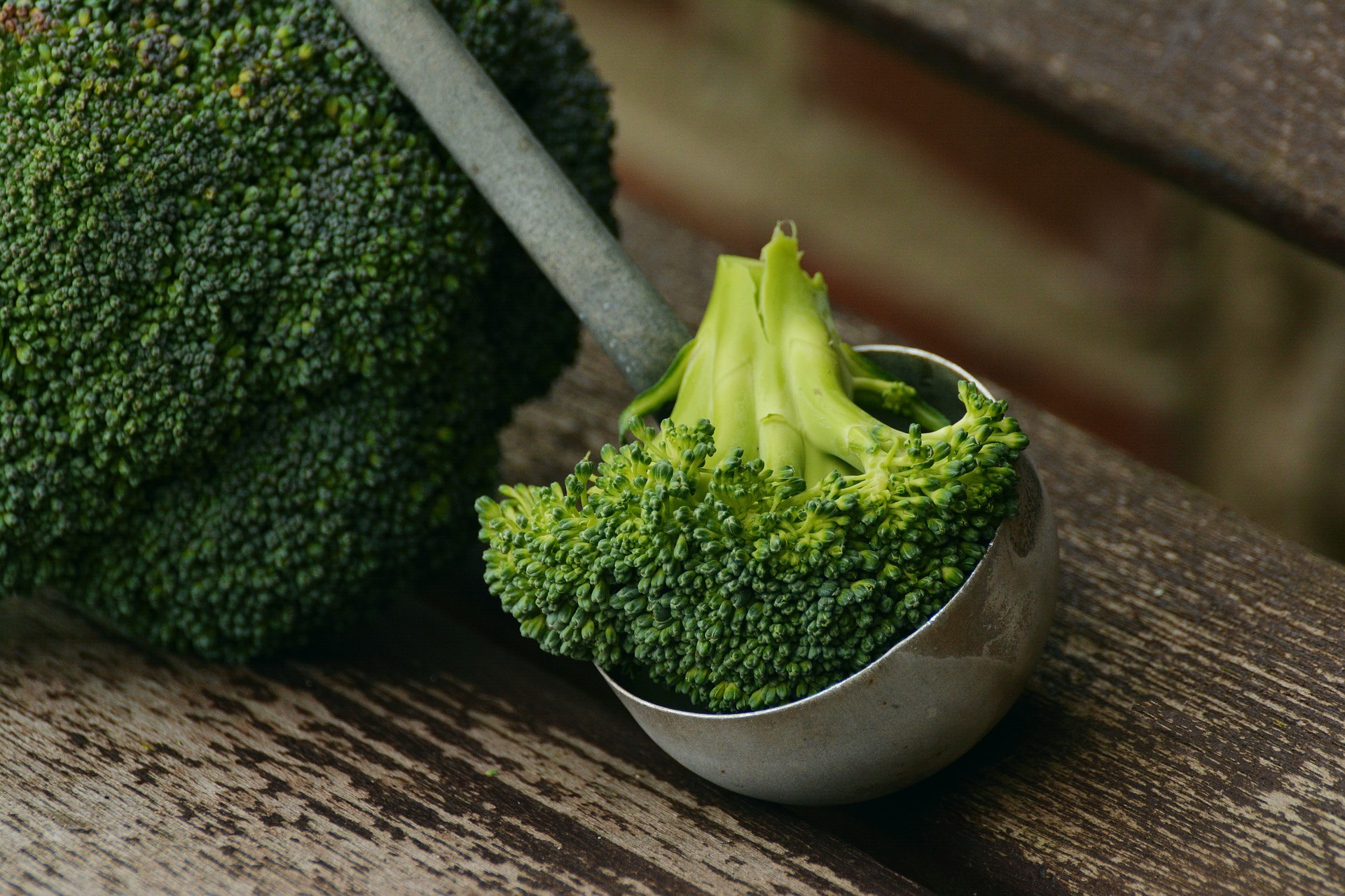 Fresh broccoli supplier