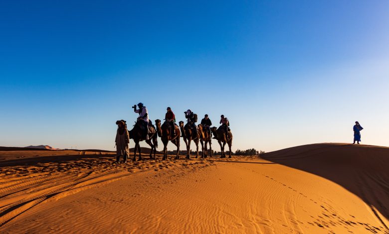 How to Get the Camel Ride Dubai in the Desert Safari Park