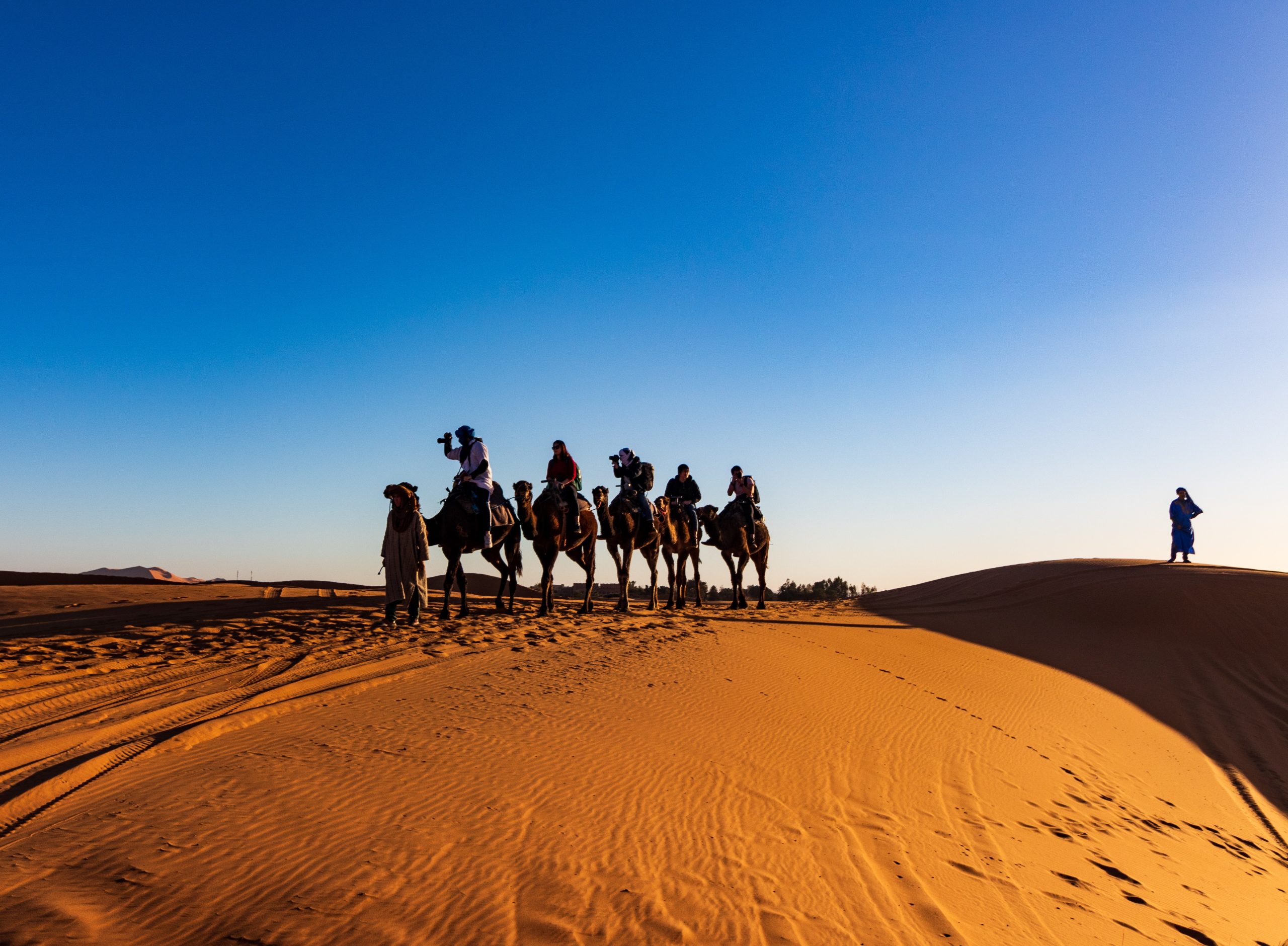 How to Get the Camel Ride Dubai in the Desert Safari Park