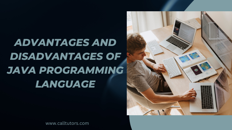 Advantages and Disadvantages of Java Programming Language