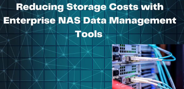 Reducing Storage Costs with Enterprise NAS Data Management Tools